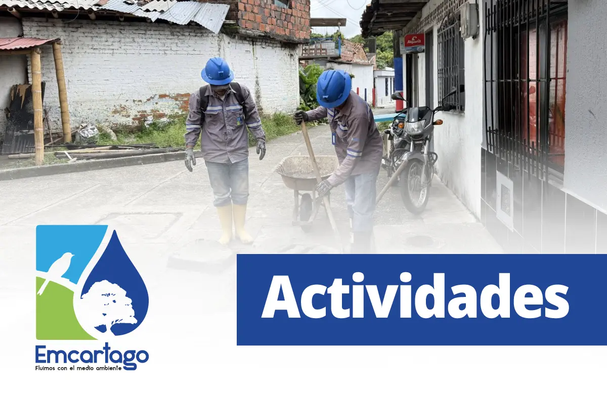 actividades emc