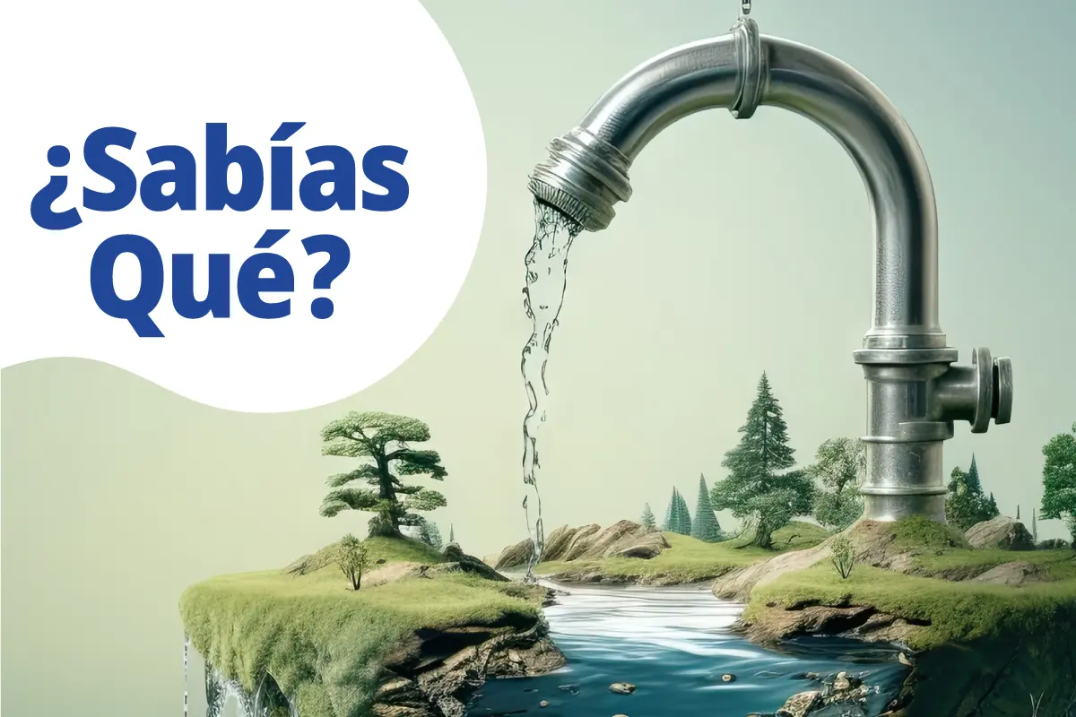 SAbias que, Agua