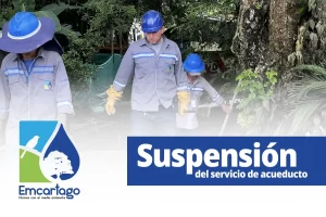 suspension