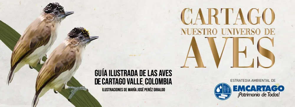 Guia Aves