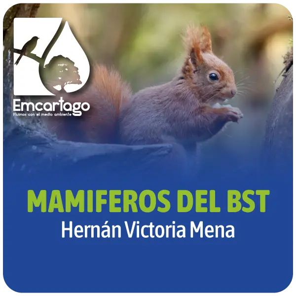 Mamiferos del Bosque Seco Tropical