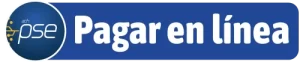 pagos linea