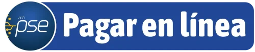 pagos linea