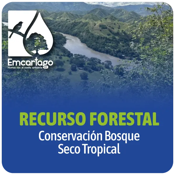 Recurso Forestal