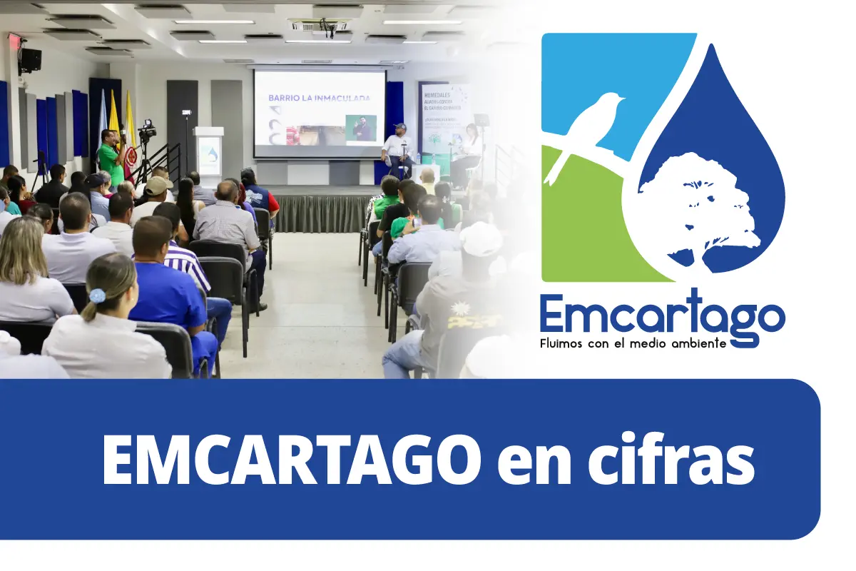 gestión y resultados Emcartago 2024