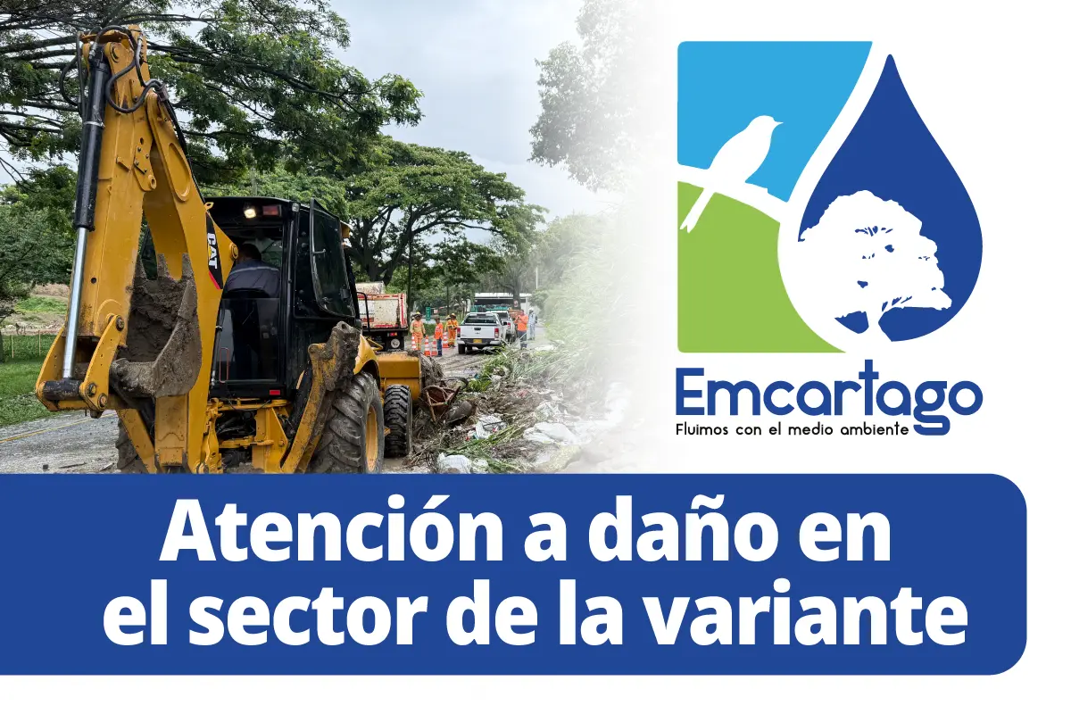 atencion en la variante