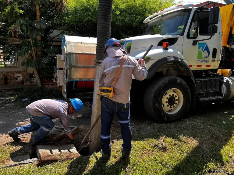actividades vactor