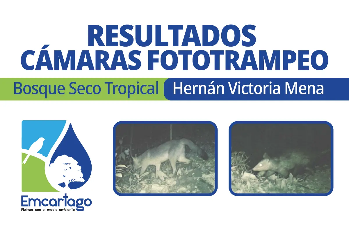resultados fototrampeo