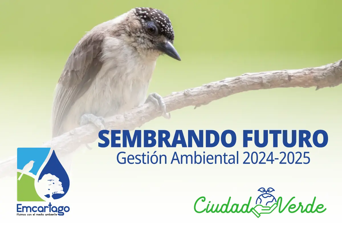 gestion ambiental