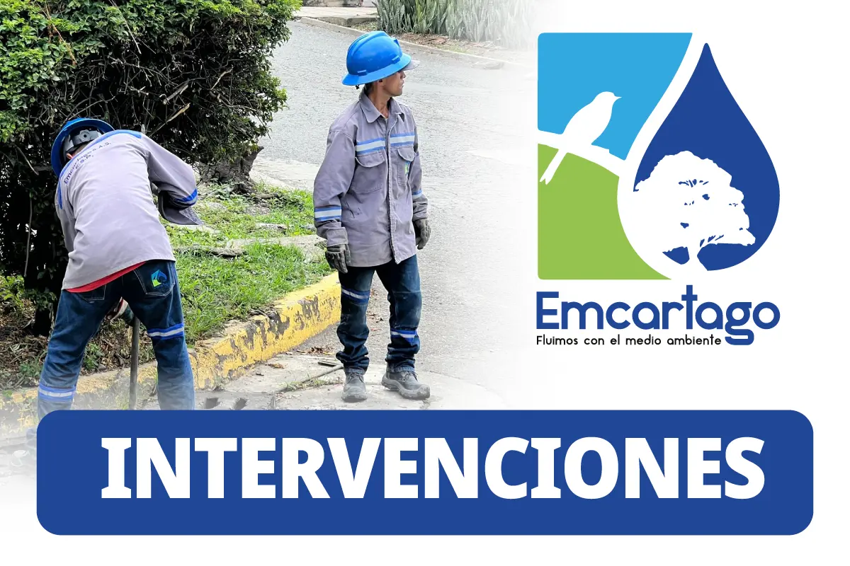intervenciones