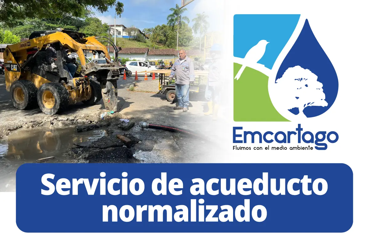 servicio normalizado