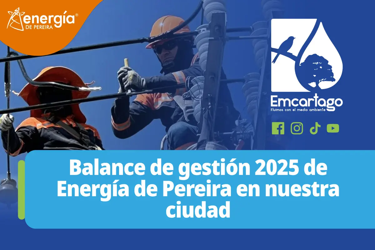 energia pereira