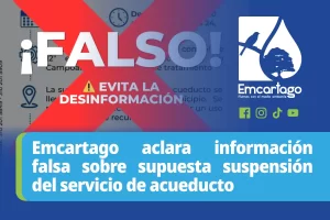 falsa informacion