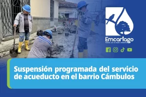 suspension cambulos