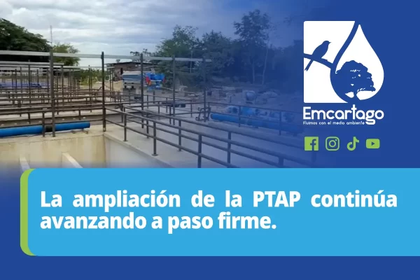 ptap