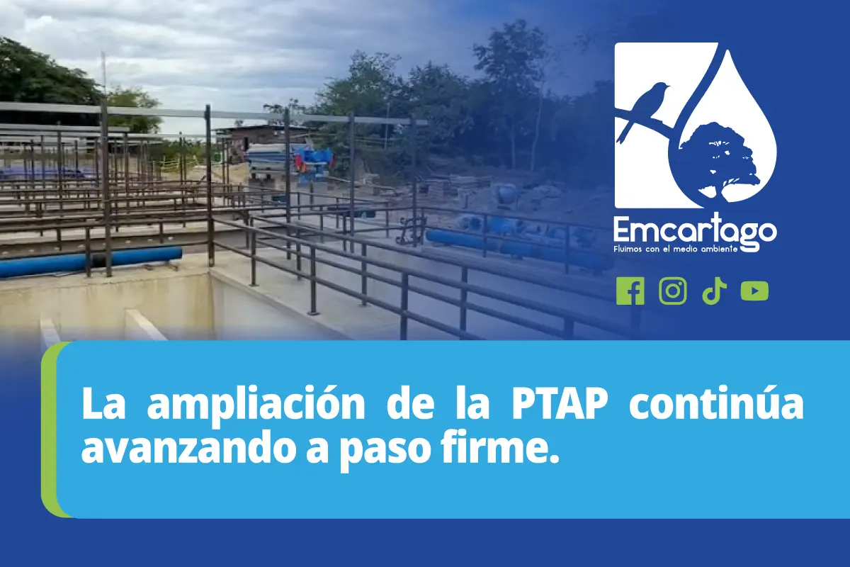 ptap