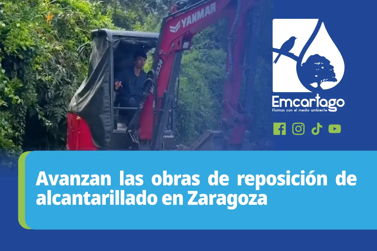 reposicion Zaragoza