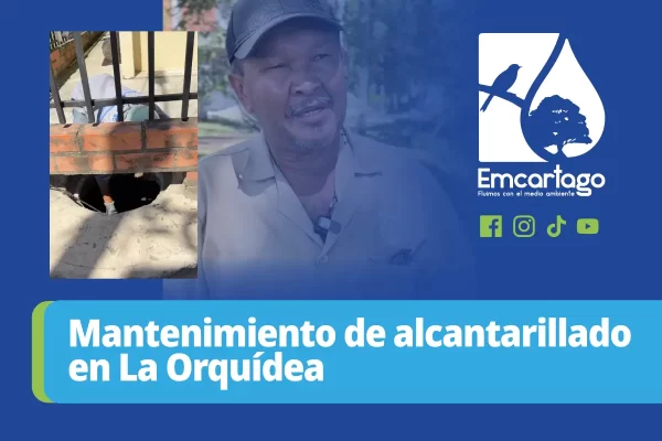 Mantenimiento de alcantarillado en La Orquídea