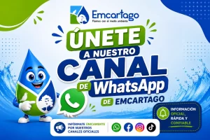 canal de Whatsapp