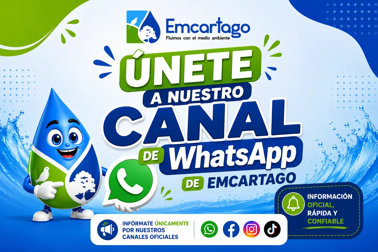 canal de Whatsapp