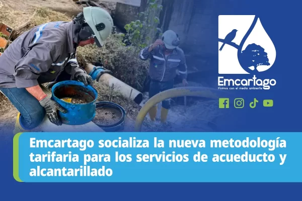 metodologia