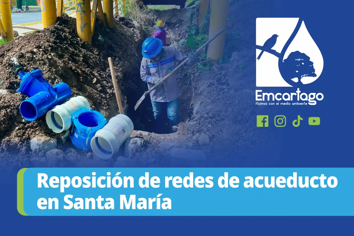 Redes Santa Maria